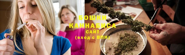 прущие грибы Нефтекумск