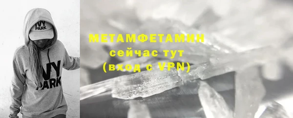 прущие грибы Нефтекумск