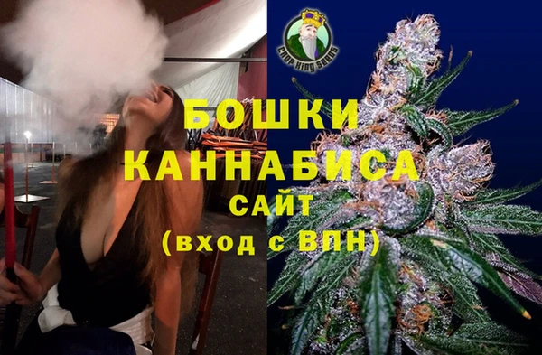 прущие грибы Нефтекумск