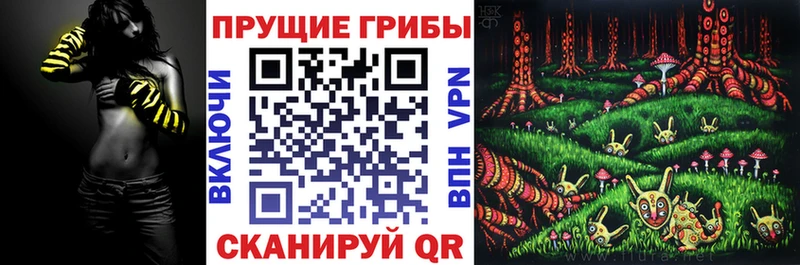 OMG зеркало  Зеленодольск  Псилоцибиновые грибы Psilocybe 