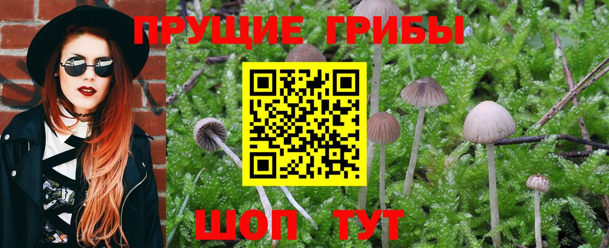 Галлюциногенные грибы GOLDEN TEACHER  Зеленодольск 