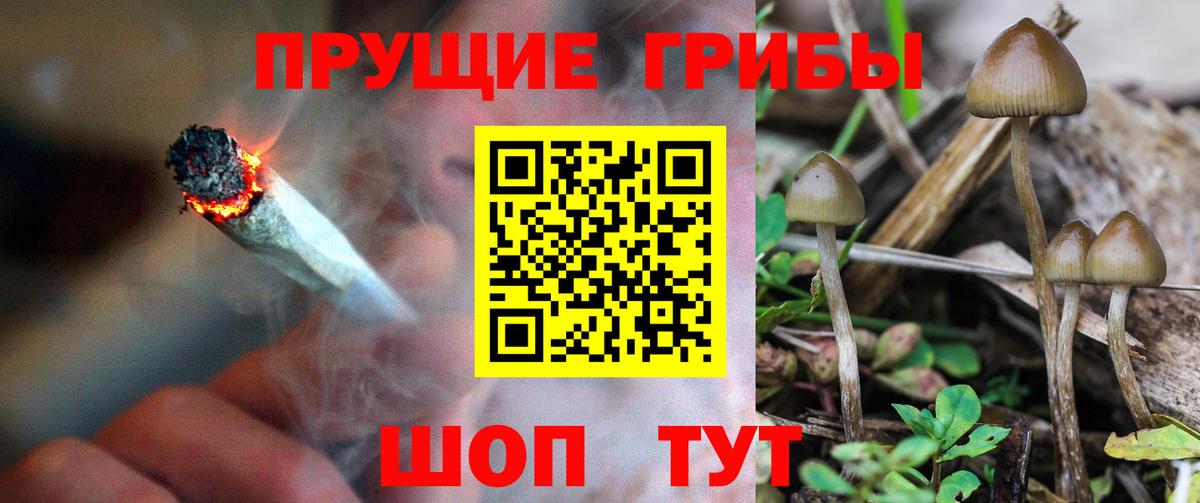 Псилоцибиновые грибы MAGIC MUSHROOMS Зеленодольск