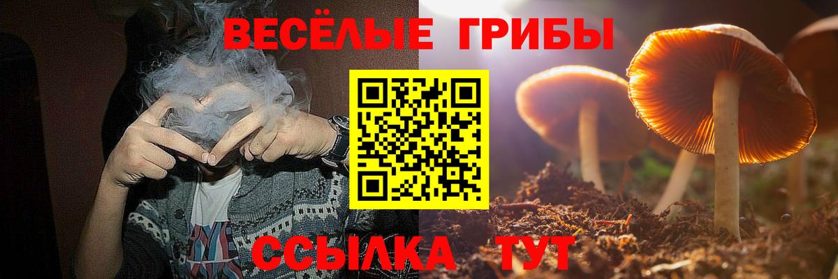 Галлюциногенные грибы Psilocybine cubensis  Вход с VPN  Галлюциногенные грибы MAGIC MUSHROOMS  Зеленодольск 